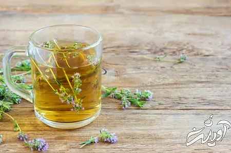 خاصیت کاکوتی خواص گیاه کاکوتی